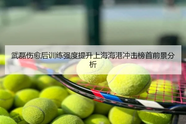 武磊伤愈后训练强度提升上海海港冲击榜首前景分析