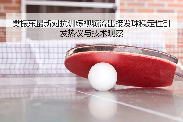 樊振东最新对抗训练视频流出接发球稳定性引发热议与技术观察