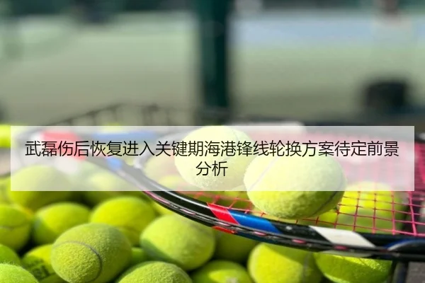武磊伤后恢复进入关键期海港锋线轮换方案待定前景分析